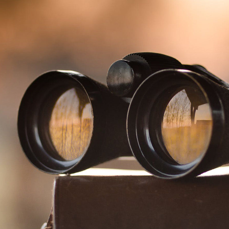 Pair of binoculars - blog vision